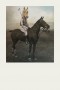 Druck einer Photographie eines Polospielers auf Pferd mit übermaltem Pferdekopf Tier Portrait