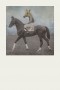 Druck einer Photographie eines Jockeys auf Rennpferd mit übermaltem Pferdekopf Tier Portrait