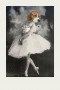 Druck einer Photographie einer Ballerina mit Beagle Hund Tier Portrait