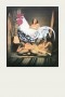 Druck einer Photographie von drei Harems Damen mit gemaltem Hamburger Hahn Vogel Portrait
