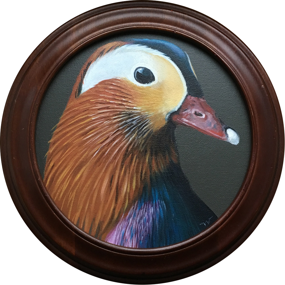 Gemälde eines Portraits einer Mandarinente im runden Rahmen