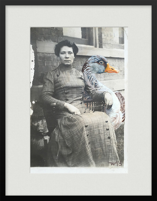 Photographie einer sitzenden Frau mit gemalter, hinzugefügter Graugans Vogel Portrait