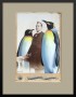 Photographie von älterm Herrn mit zwei gemalten Pinguinen Vogel Portraits