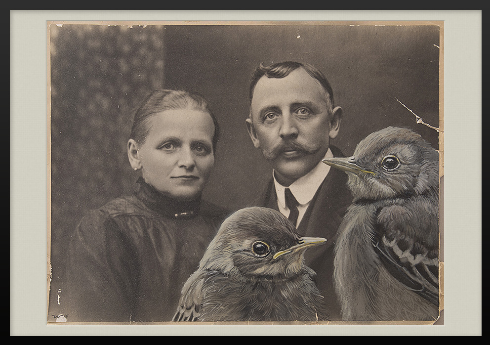 Photographie eines Paares mit eingemalten Bachstelzen Vogel Portraits