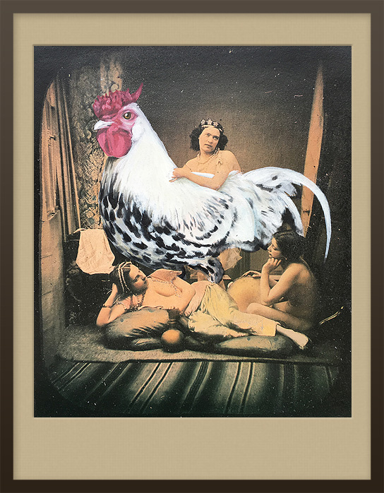 Photographie von drei Harems Damen mit gemaltem Hamburger Hahn Vogel Portrait