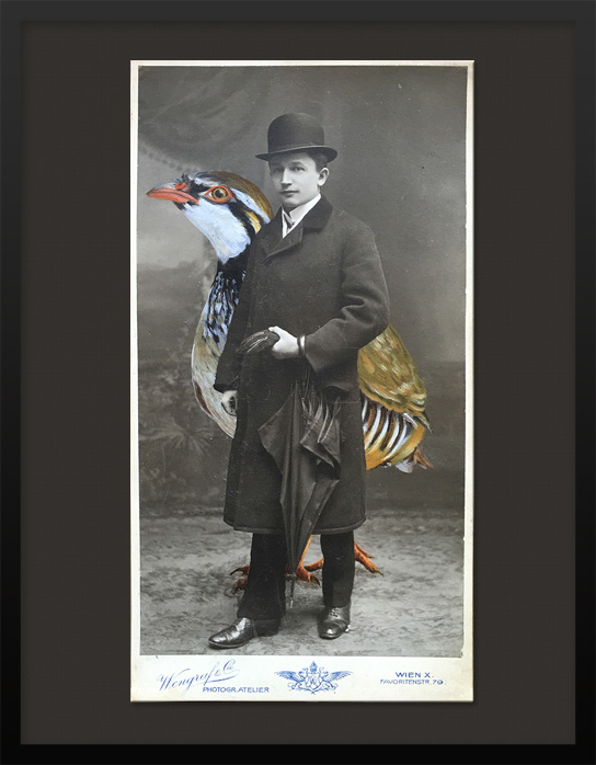 Photographie von spazierendem Mann mit gemaltem Rebhuhn Vogel Portrait