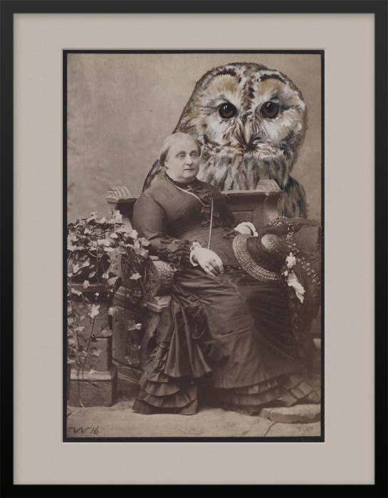 Photographie von sitzender Dame mit gemaltem Waldkauz Vogel Portrait im Hintergrund