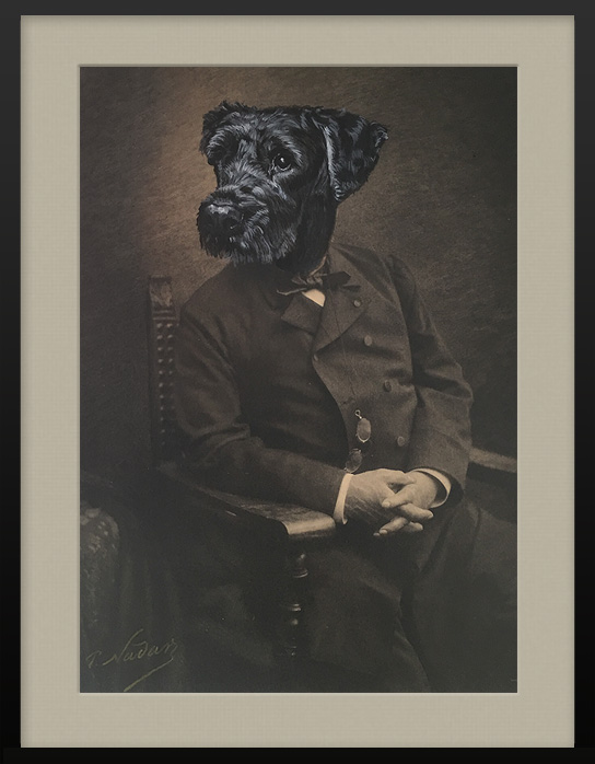 Photographie eines sitzenden Herrn mit Terrier Hund Tier Portrait