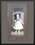 Photographie eines Mädchens mit englische Bulldogge Hund Tier Portrait
